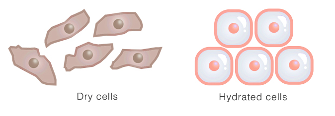 exosomes