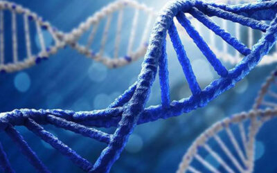 Home Peptides vs. Peptide Bioregulators: What’s the Real Difference?